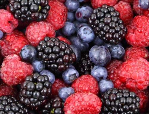 12 Antioxidants (And Their Food Sources) That Fight Disease