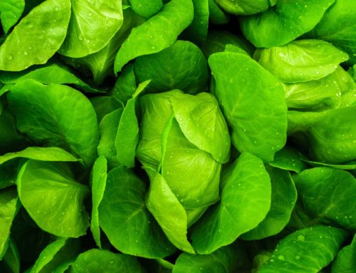 4 Antioxidants Made By The Body